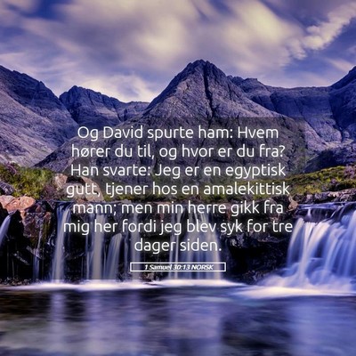 Picture 05 - 1 Samuel 30:13 NORSK - Og David spurte ham: Hvem hører du til, og hvor - Bible Verse Picture