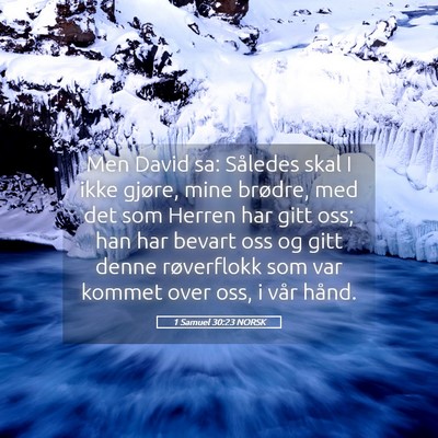 Picture 05 - 1 Samuel 30:23 NORSK - Men David sa: Således skal I ikke gjøre, mine - Bible Verse Picture