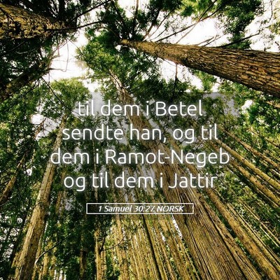 Picture 05 - 1 Samuel 30:27 NORSK - til dem i Betel sendte han, og til dem i - Bible Verse Picture