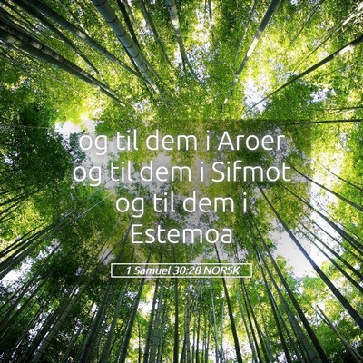 Picture 05 - 1 Samuel 30:28 NORSK - og til dem i Aroer og til dem i Sifmot og til dem - Bible Verse Picture