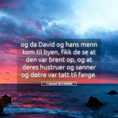 Picture 05 - 1 Samuel 30:3 NORSK - og da David og hans menn kom til byen, fikk de se - Bible Verse Picture