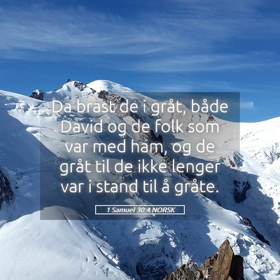 Picture 05 - 1 Samuel 30:4 NORSK - Da brast de i gråt, både David og de folk som - Bible Verse Picture