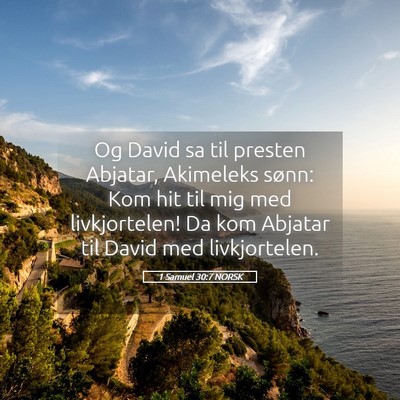 Picture 05 - 1 Samuel 30:7 NORSK - Og David sa til presten Abjatar, Akimeleks sønn: - Bible Verse Picture