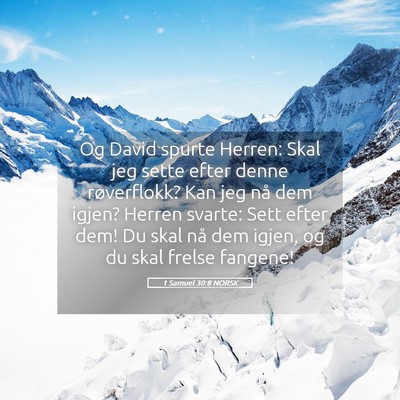 Picture 05 - 1 Samuel 30:8 NORSK - Og David spurte Herren: Skal jeg sette efter - Bible Verse Picture