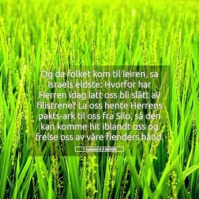 Picture 05 - 1 Samuel 4:3 NORSK - Og da folket kom til leiren, sa Israels eldste: - Bible Verse Picture