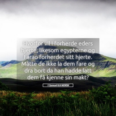 Picture 05 - 1 Samuel 6:6 NORSK - Hvorfor vil I forherde eders hjerte, likesom - Bible Verse Picture