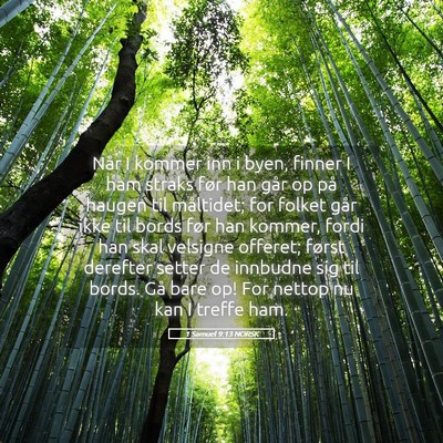 Picture 05 - 1 Samuel 9:13 NORSK - Når I kommer inn i byen, finner I ham straks - Bible Verse Picture