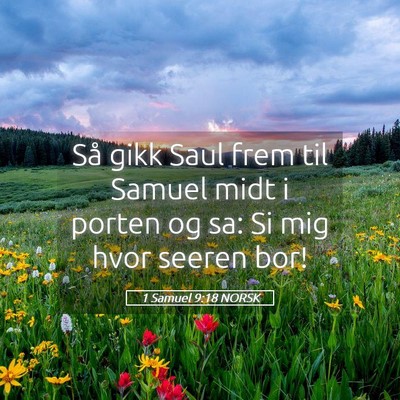 Picture 05 - 1 Samuel 9:18 NORSK - Så gikk Saul frem til Samuel midt i porten og - Bible Verse Picture