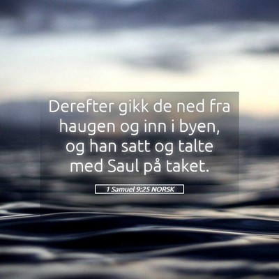 Picture 05 - 1 Samuel 9:25 NORSK - Derefter gikk de ned fra haugen og inn i byen, og - Bible Verse Picture