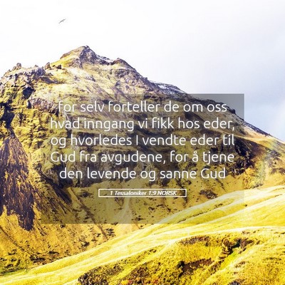 Picture 05 - 1 Tessaloniker 1:9 NORSK - for selv forteller de om oss hvad inngang vi fikk - Bible Verse Picture