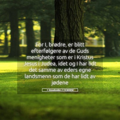 Picture 05 - 1 Tessaloniker 2:14 NORSK - For I, brødre, er blitt efterfølgere av de Guds - Bible Verse Picture
