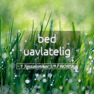 Picture 05 - 1 Tessaloniker 5:17 NORSK - bed - Bible Verse Picture