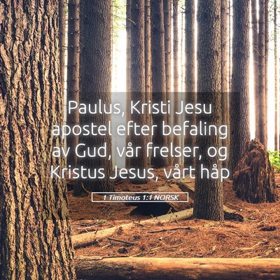 Picture 05 - 1 Timoteus 1:1 NORSK - Paulus, Kristi Jesu apostel efter befaling av - Bible Verse Picture