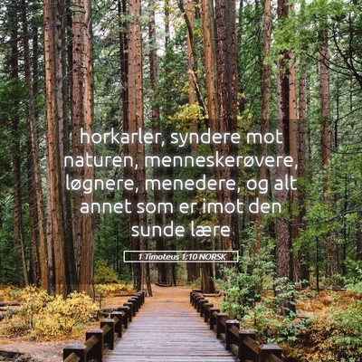 Picture 05 - 1 Timoteus 1:10 NORSK - horkarler, syndere mot naturen, menneskerøvere, - Bible Verse Picture