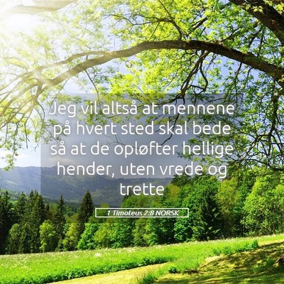 Picture 05 - 1 Timoteus 2:8 NORSK - Jeg vil altså at mennene på hvert sted skal - Bible Verse Picture