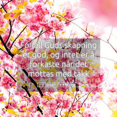Picture 05 - 1 Timoteus 4:4 NORSK - For all Guds skapning er god, og intet er å - Bible Verse Picture