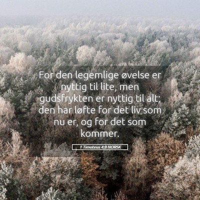 Picture 05 - 1 Timoteus 4:8 NORSK - For den legemlige øvelse er nyttig til lite, men - Bible Verse Picture