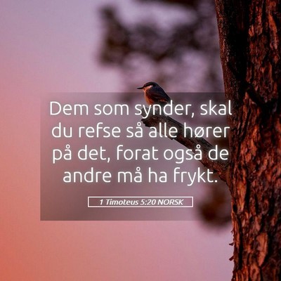 Picture 05 - 1 Timoteus 5:20 NORSK - Dem som synder, skal du refse så alle hører på - Bible Verse Picture