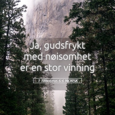 Picture 05 - 1 Timoteus 6:6 NORSK - Ja, gudsfrykt med nøisomhet er en stor - Bible Verse Picture