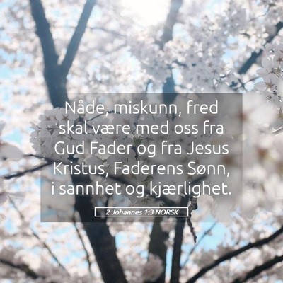 Picture 05 - 2 Johannes 1:3 NORSK - Nåde, miskunn, fred skal være med oss fra Gud - Bible Verse Picture