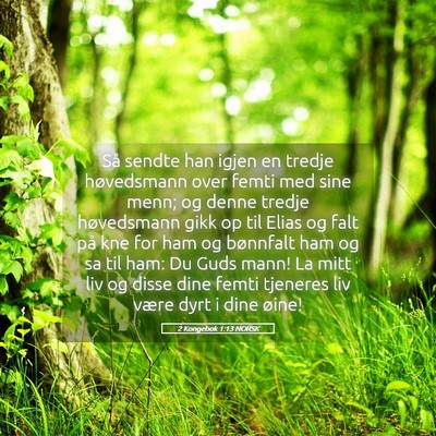 Picture 05 - 2 Kongebok 1:13 NORSK - Så sendte han igjen en tredje høvedsmann over - Bible Verse Picture