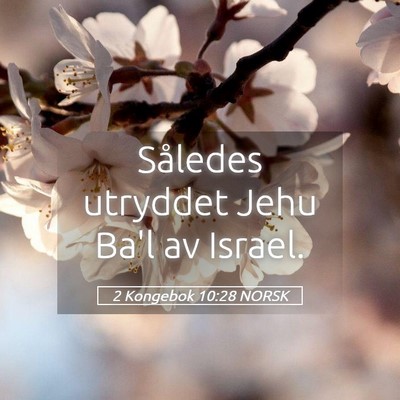 Picture 05 - 2 Kongebok 10:28 NORSK - Således utryddet Jehu Ba'l av - Bible Verse Picture