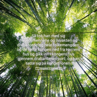 Picture 05 - 2 Kongebok 11:19 NORSK - Så tok han med sig høvedsmennene og livvakten - Bible Verse Picture