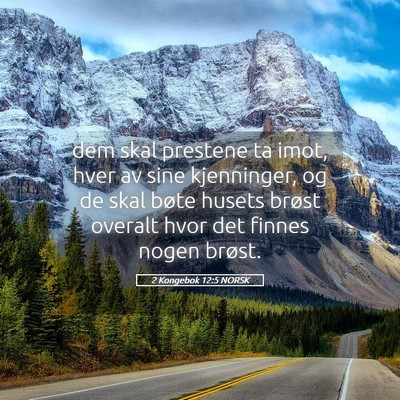 Picture 05 - 2 Kongebok 12:5 NORSK - dem skal prestene ta imot, hver av sine - Bible Verse Picture