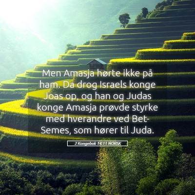 Picture 05 - 2 Kongebok 14:11 NORSK - Men Amasja hørte ikke på ham. Da drog Israels - Bible Verse Picture