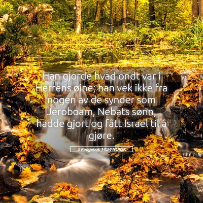 Picture 05 - 2 Kongebok 14:24 NORSK - Han gjorde hvad ondt var i Herrens øine; han vek - Bible Verse Picture