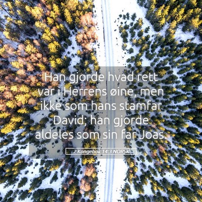 Picture 05 - 2 Kongebok 14:3 NORSK - Han gjorde hvad rett var i Herrens øine, men - Bible Verse Picture