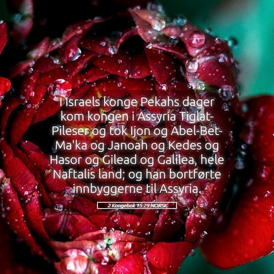 Picture 05 - 2 Kongebok 15:29 NORSK - I Israels konge Pekahs dager kom kongen i Assyria - Bible Verse Picture