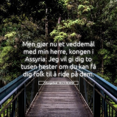 Picture 05 - 2 Kongebok 18:23 NORSK - Men gjør nu et veddemål med min herre, kongen i - Bible Verse Picture