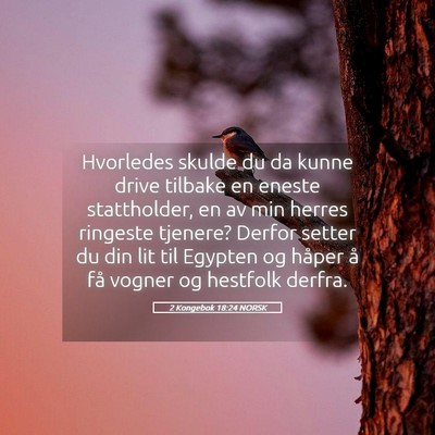 Picture 05 - 2 Kongebok 18:24 NORSK - Hvorledes skulde du da kunne drive tilbake en - Bible Verse Picture