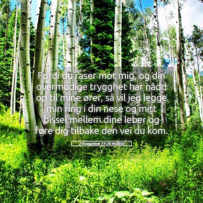 Picture 05 - 2 Kongebok 19:28 NORSK - Fordi du raser mot mig, og din overmodige - Bible Verse Picture