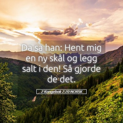 Picture 05 - 2 Kongebok 2:20 NORSK - Da sa han: Hent mig en ny skål og legg salt i - Bible Verse Picture