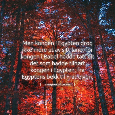 Picture 05 - 2 Kongebok 24:7 NORSK - Men kongen i Egypten drog ikke mere ut av sitt - Bible Verse Picture