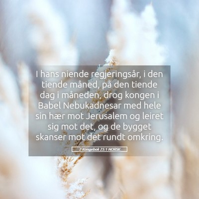 Picture 05 - 2 Kongebok 25:1 NORSK - I hans niende regjeringsår, i den tiende måned, - Bible Verse Picture