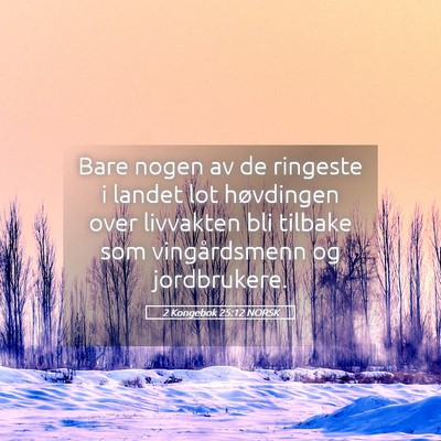 Picture 05 - 2 Kongebok 25:12 NORSK - Bare nogen av de ringeste i landet lot høvdingen - Bible Verse Picture