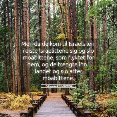 Picture 05 - 2 Kongebok 3:24 NORSK - Men da de kom til Israels leir, reiste - Bible Verse Picture