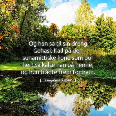 Picture 05 - 2 Kongebok 4:12 NORSK - Og han sa til sin dreng Gehasi: Kall på den - Bible Verse Picture
