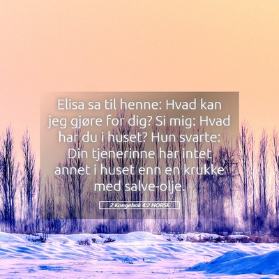 Picture 05 - 2 Kongebok 4:2 NORSK - Elisa sa til henne: Hvad kan jeg gjøre for dig? - Bible Verse Picture