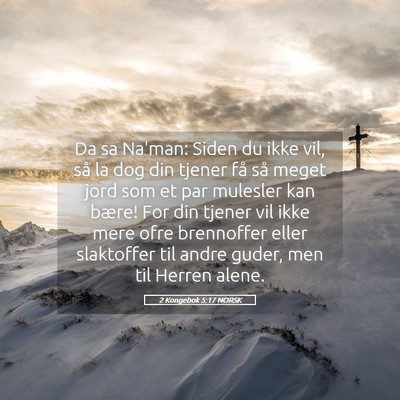 Picture 05 - 2 Kongebok 5:17 NORSK - Da sa Na'man: Siden du ikke vil, så la dog din - Bible Verse Picture