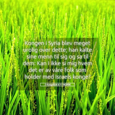 Picture 05 - 2 Kongebok 6:11 NORSK - Kongen i Syria blev meget urolig over dette; han - Bible Verse Picture