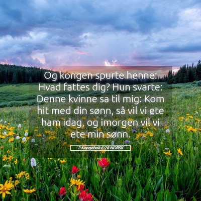 Picture 05 - 2 Kongebok 6:28 NORSK - Og kongen spurte henne: Hvad fattes dig? Hun - Bible Verse Picture
