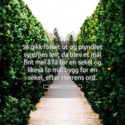 Picture 05 - 2 Kongebok 7:16 NORSK - Så gikk folket ut og plyndret syrernes leir; da - Bible Verse Picture