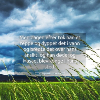 Picture 05 - 2 Kongebok 8:15 NORSK - Men dagen efter tok han et teppe og dyppet det i - Bible Verse Picture