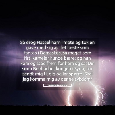 Picture 05 - 2 Kongebok 8:9 NORSK - Så drog Hasael ham i møte og tok en gave med - Bible Verse Picture