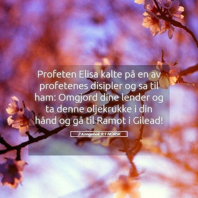 Picture 05 - 2 Kongebok 9:1 NORSK - Profeten Elisa kalte på en av profetenes - Bible Verse Picture