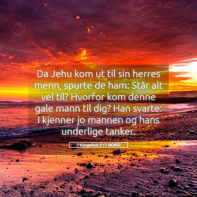 Picture 05 - 2 Kongebok 9:11 NORSK - Da Jehu kom ut til sin herres menn, spurte de - Bible Verse Picture